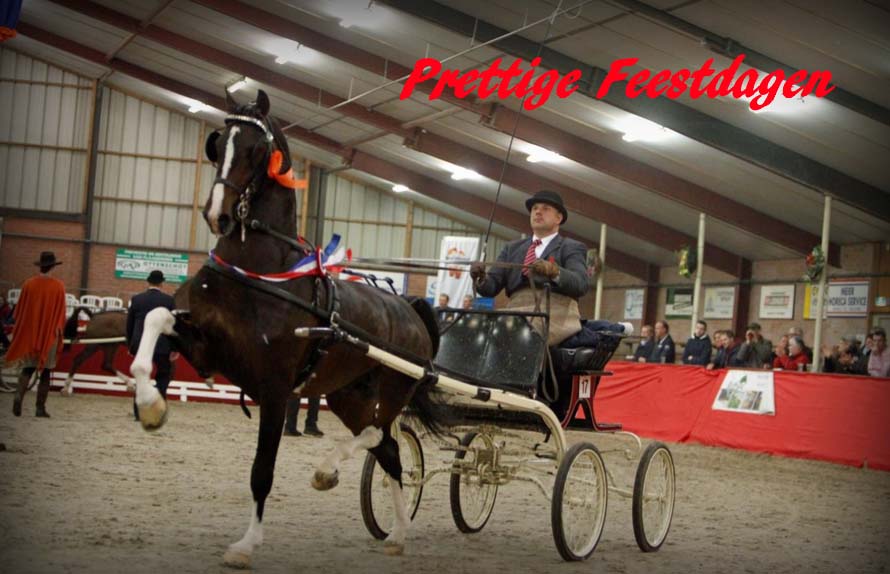 kerstkaart_2016kopie